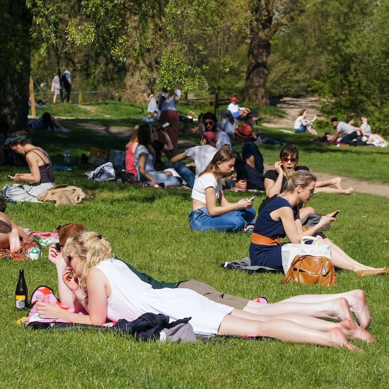 people enjoying a sunny day in the park
