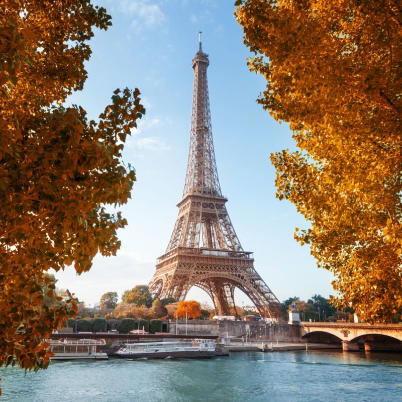 Eiffel Tower framed by autumn trees