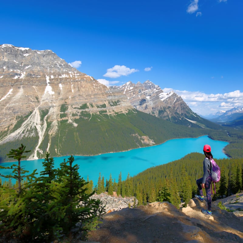 Young hiker looking at Peyto Lake in the late afternoon in Banff National Park, Alberta, Canada