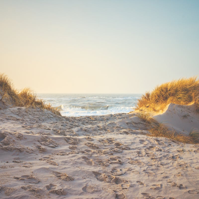 beach in west jutland denmark