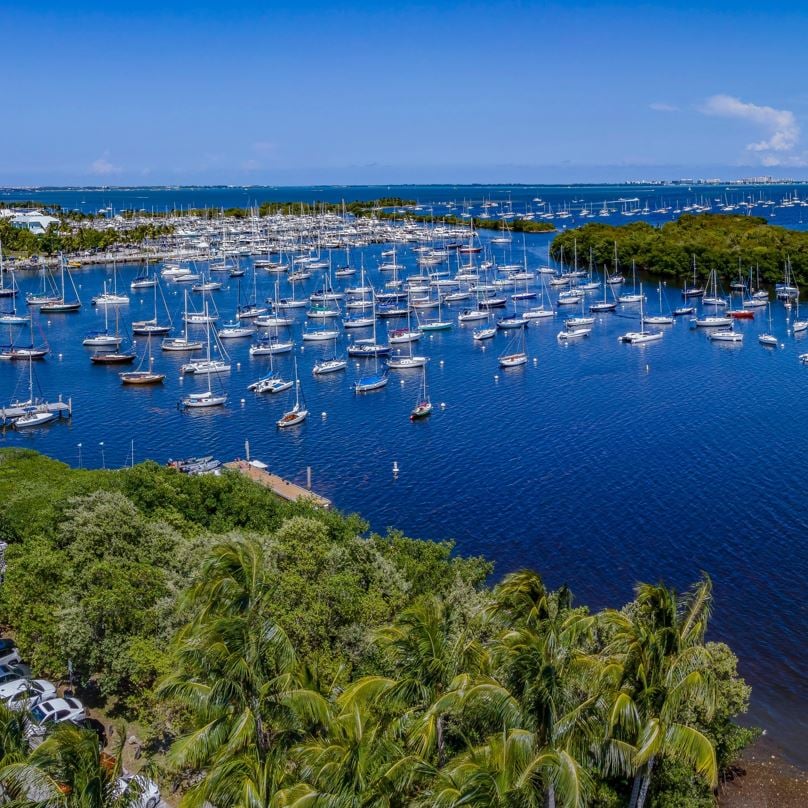 Aerial view of the water with many sail boats and trees.